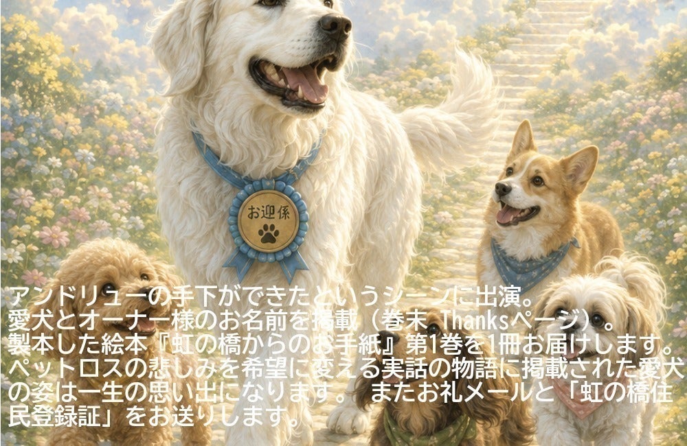 リターン画像