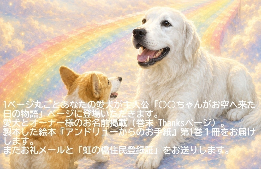 リターン画像
