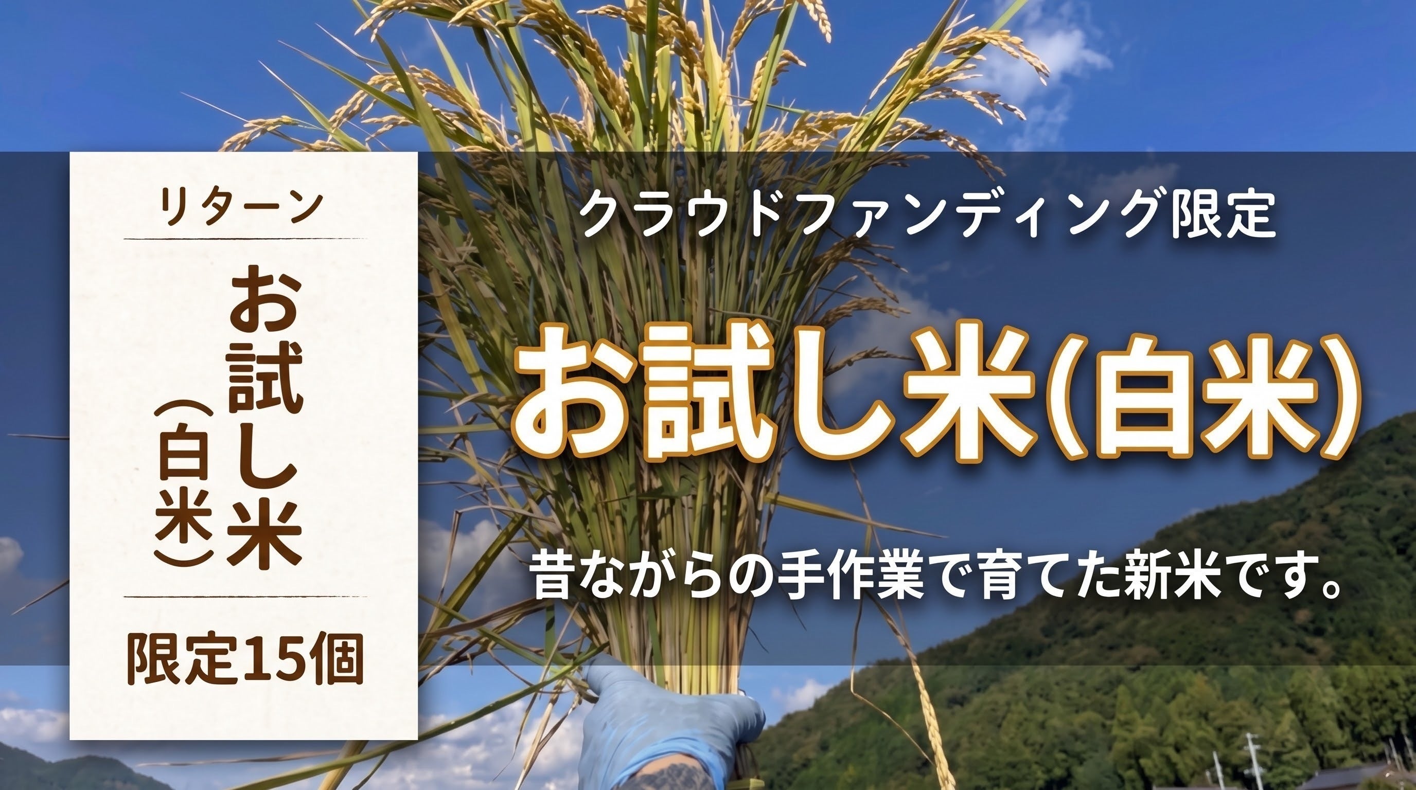リターン画像