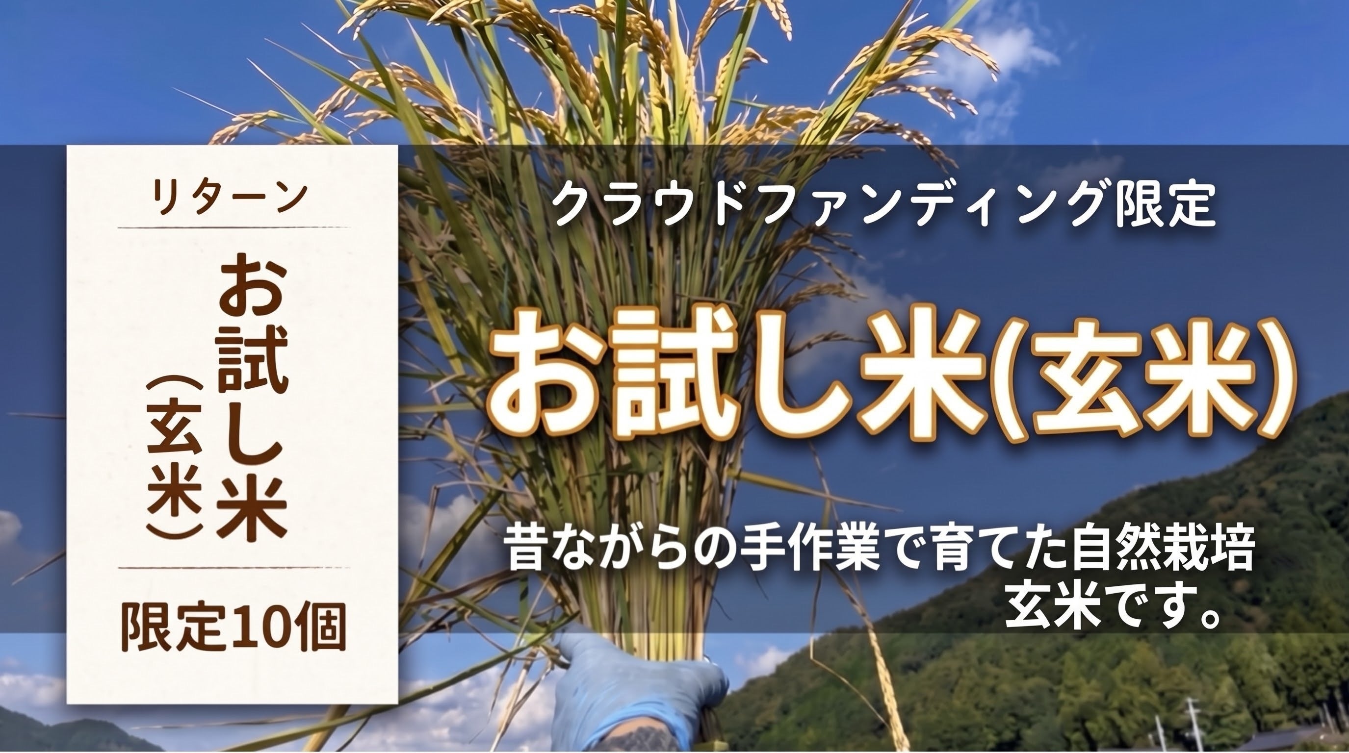 リターン画像