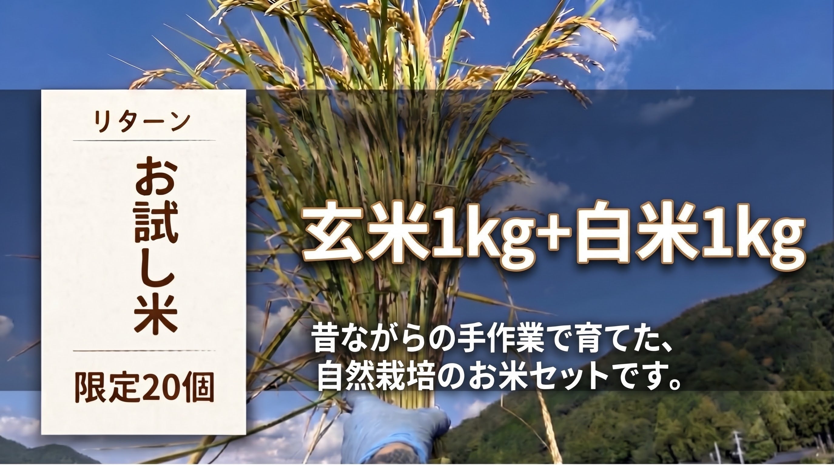 リターン画像