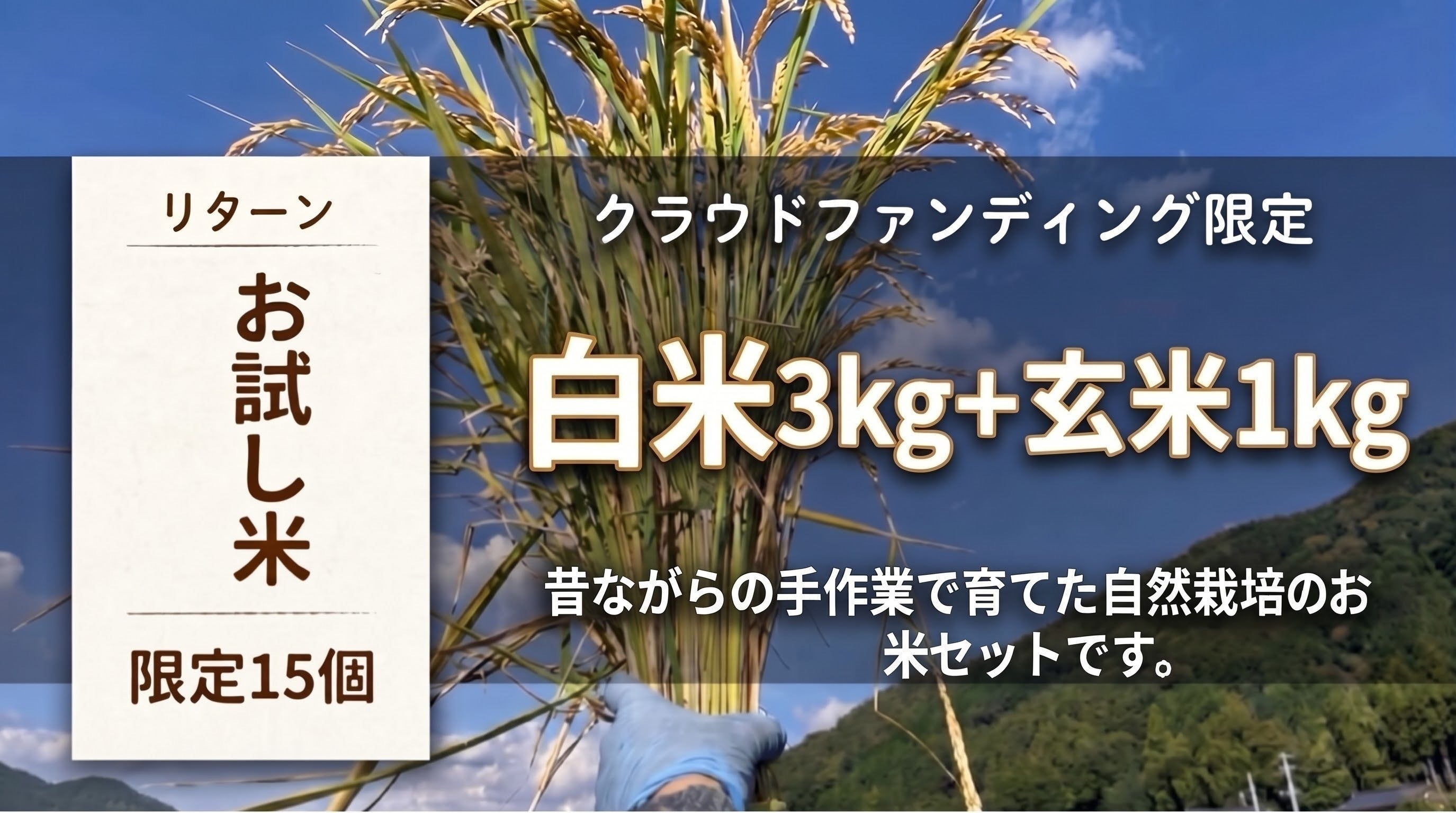 リターン画像