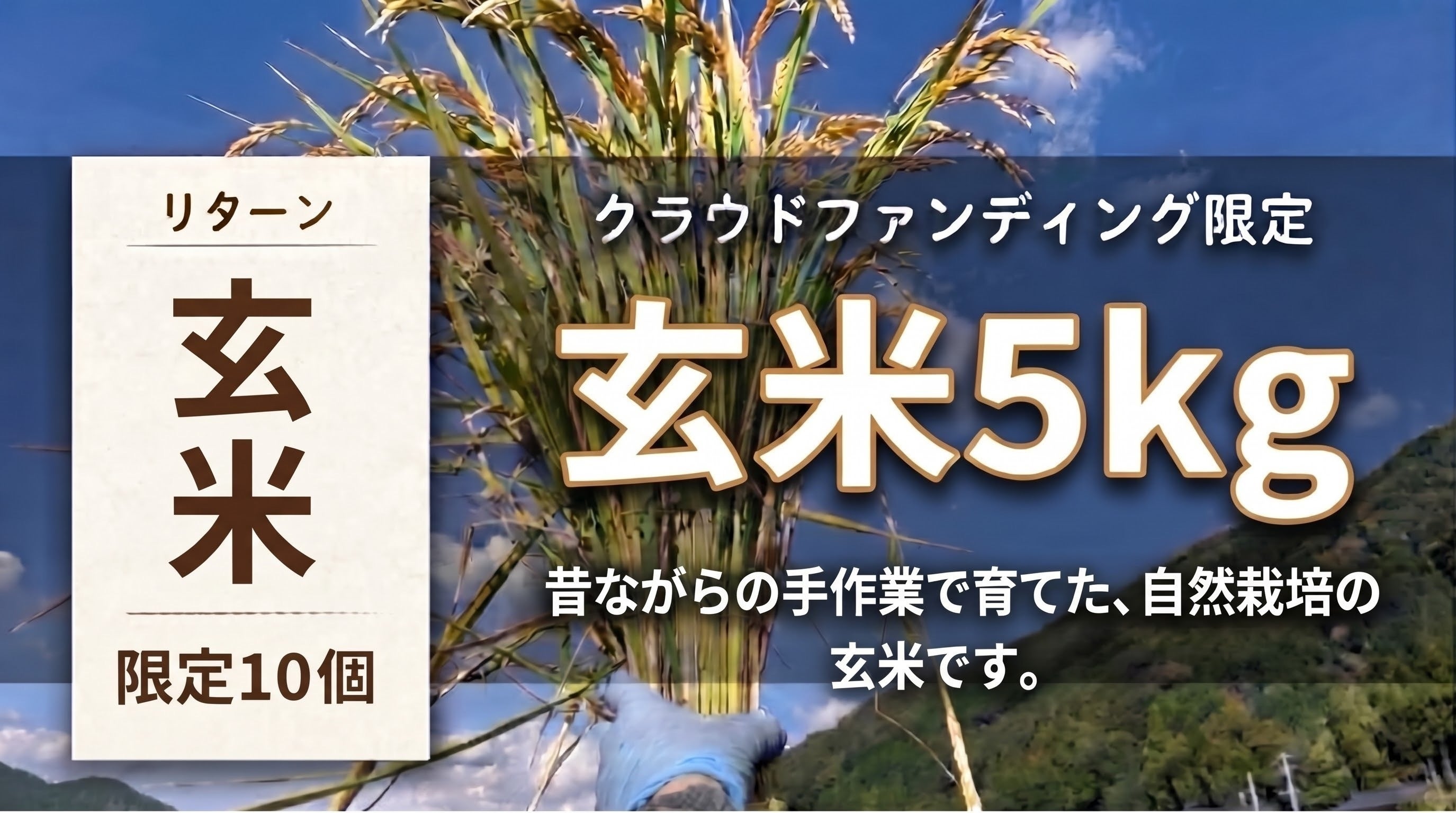 リターン画像
