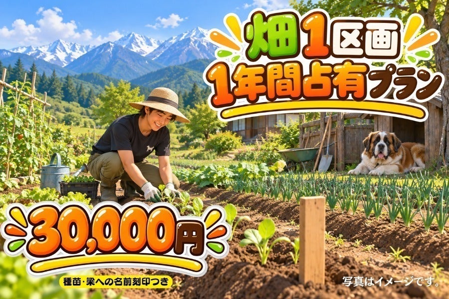リターン画像