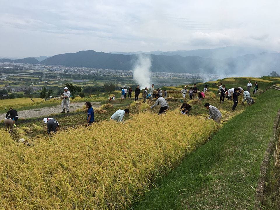 リターン画像