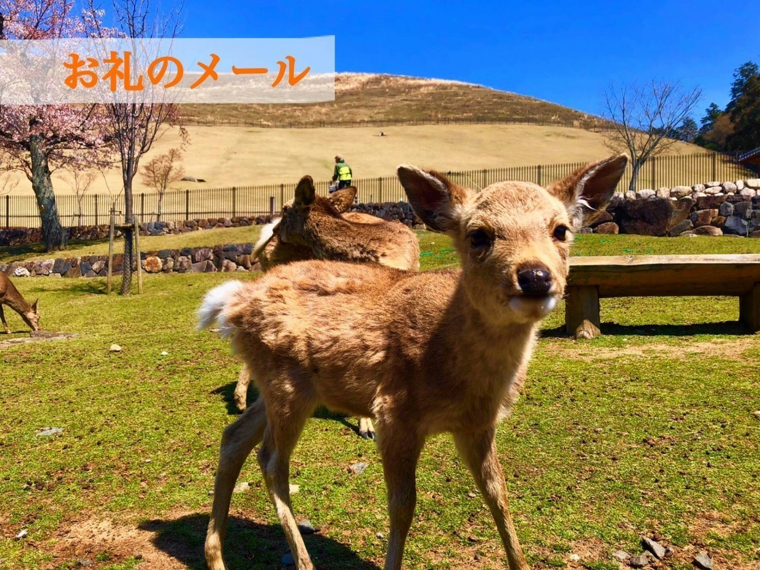 リターン画像