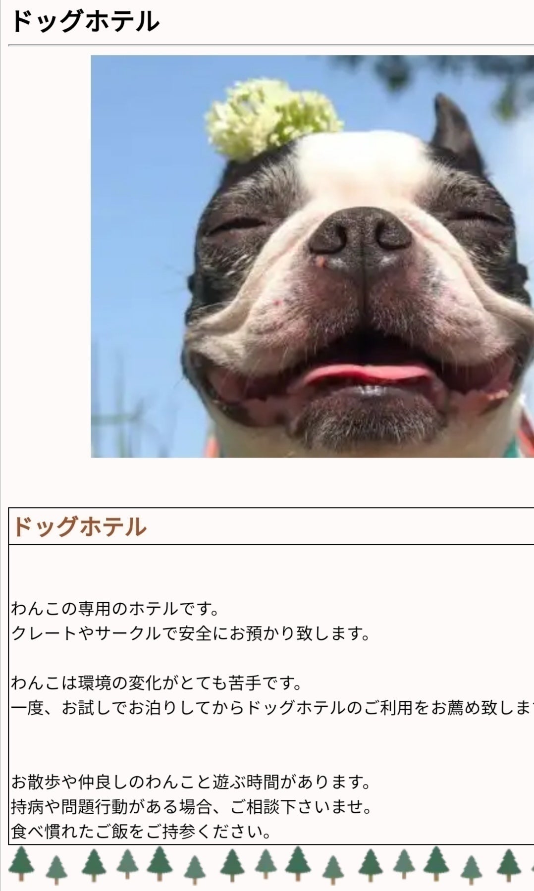 リターン画像