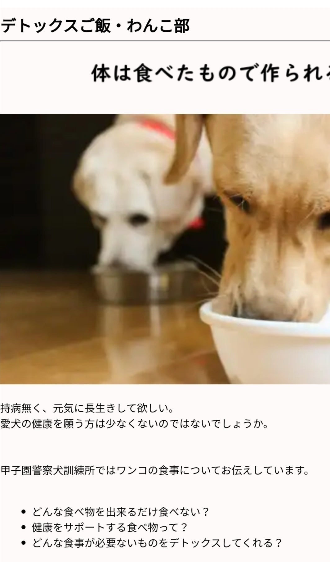 リターン画像