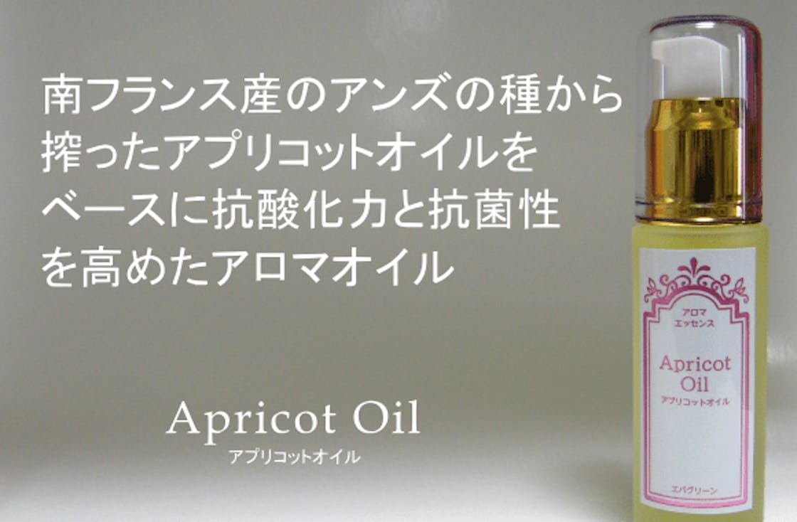 沖縄の一大イベント 沖縄の産業まつり に出展しました Campfire キャンプファイヤー