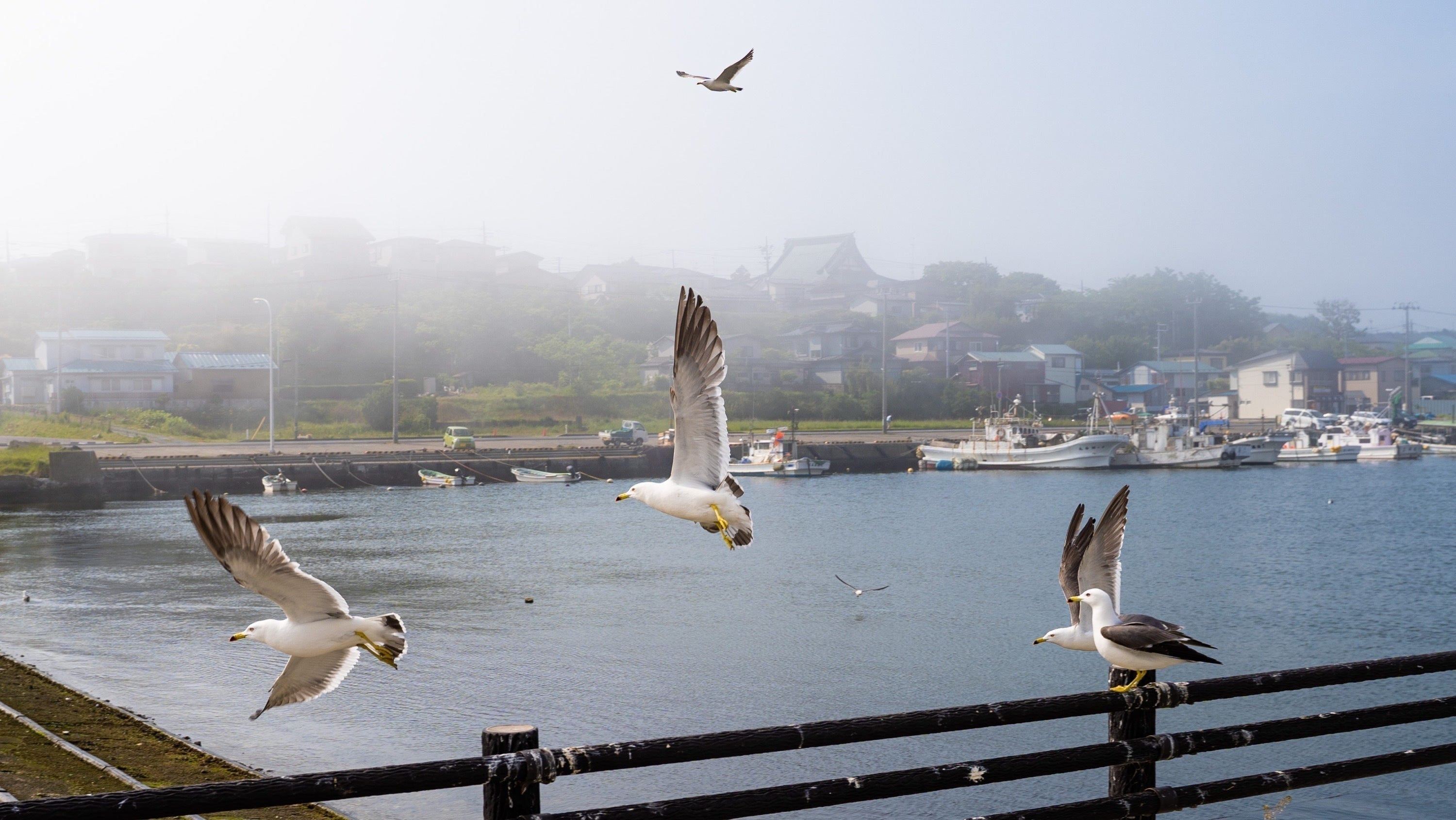 4番目のメイン画像