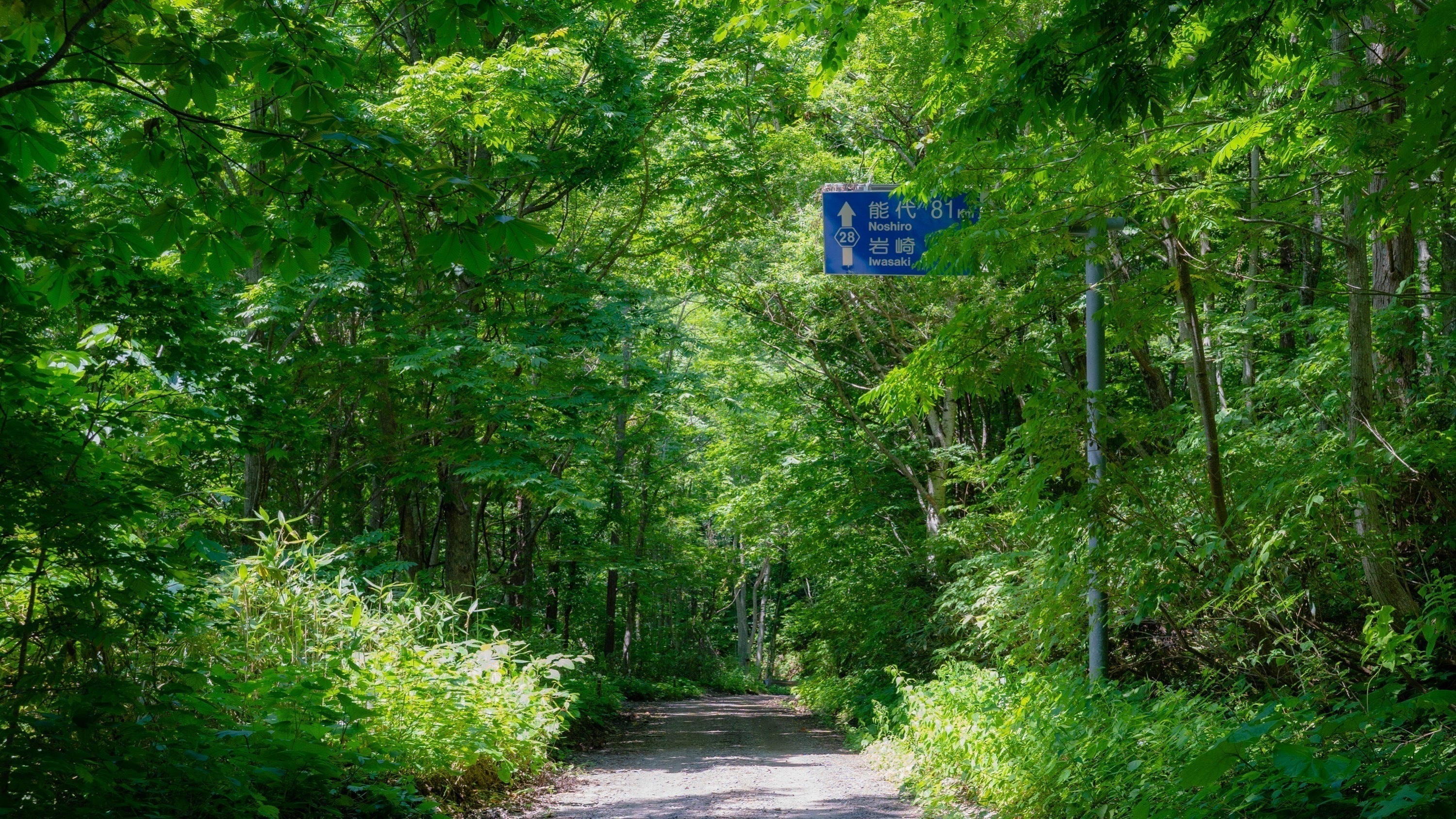 5番目のメイン画像