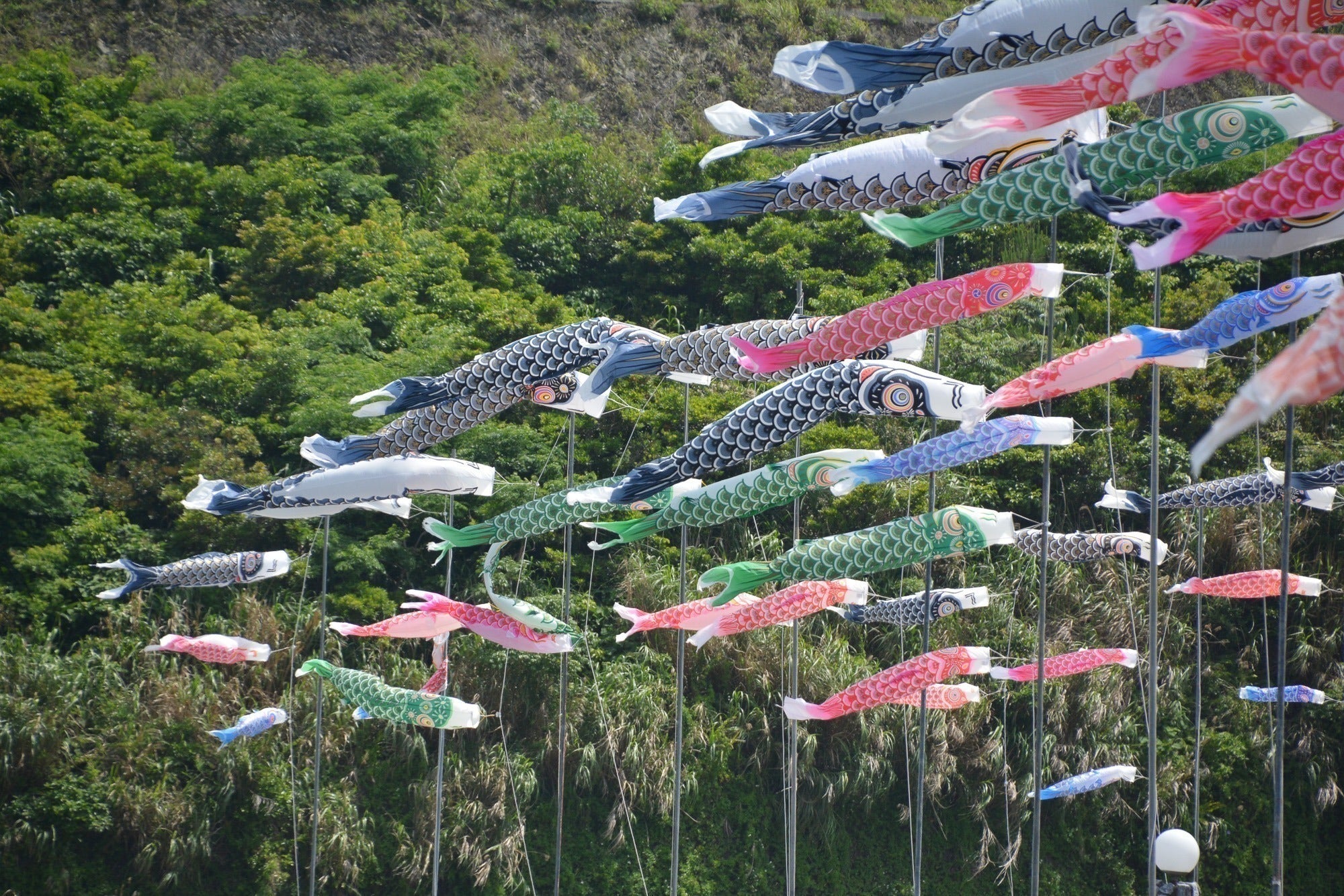 5番目のメイン画像