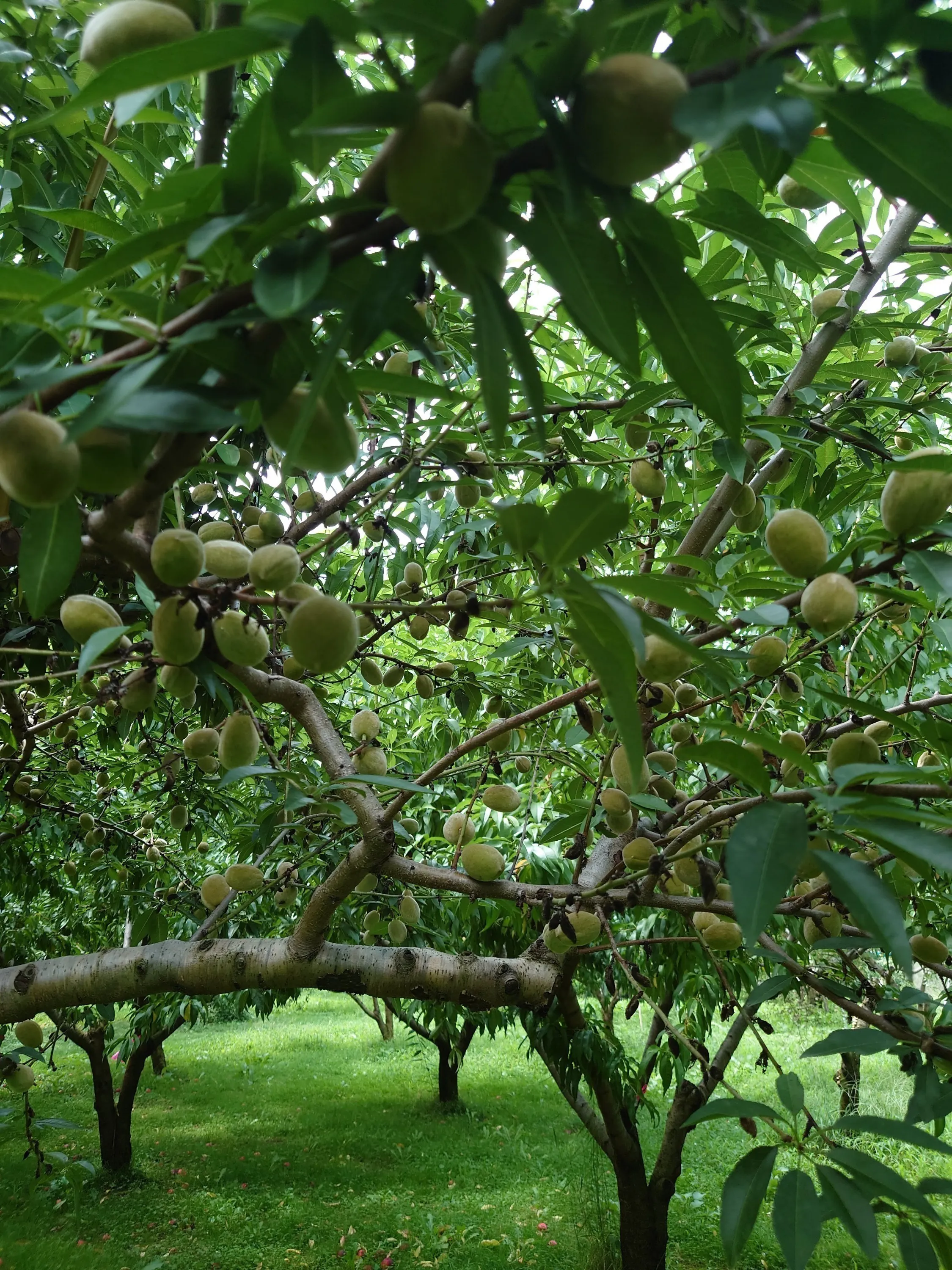 5番目のメイン画像