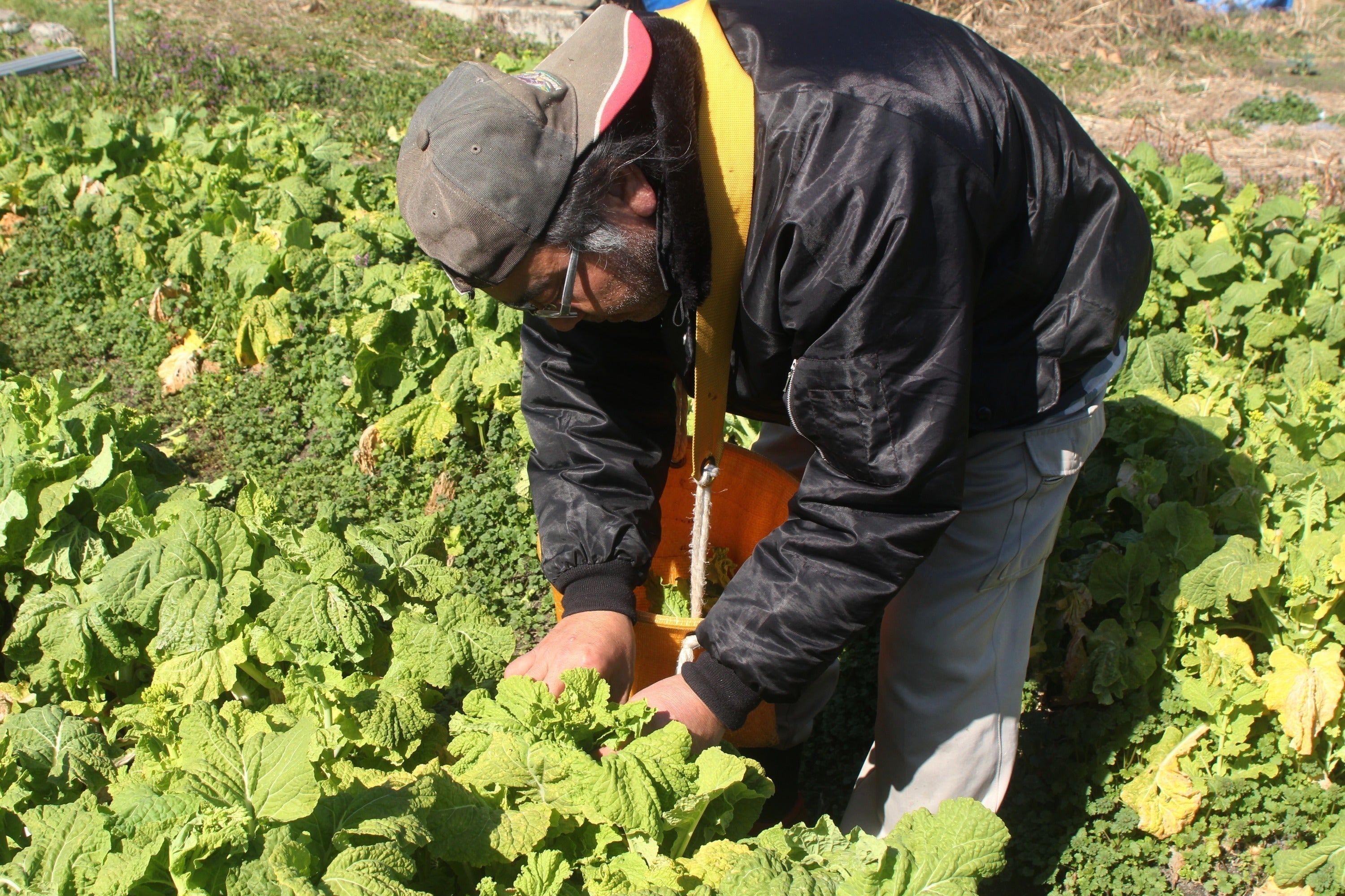 5番目のメイン画像