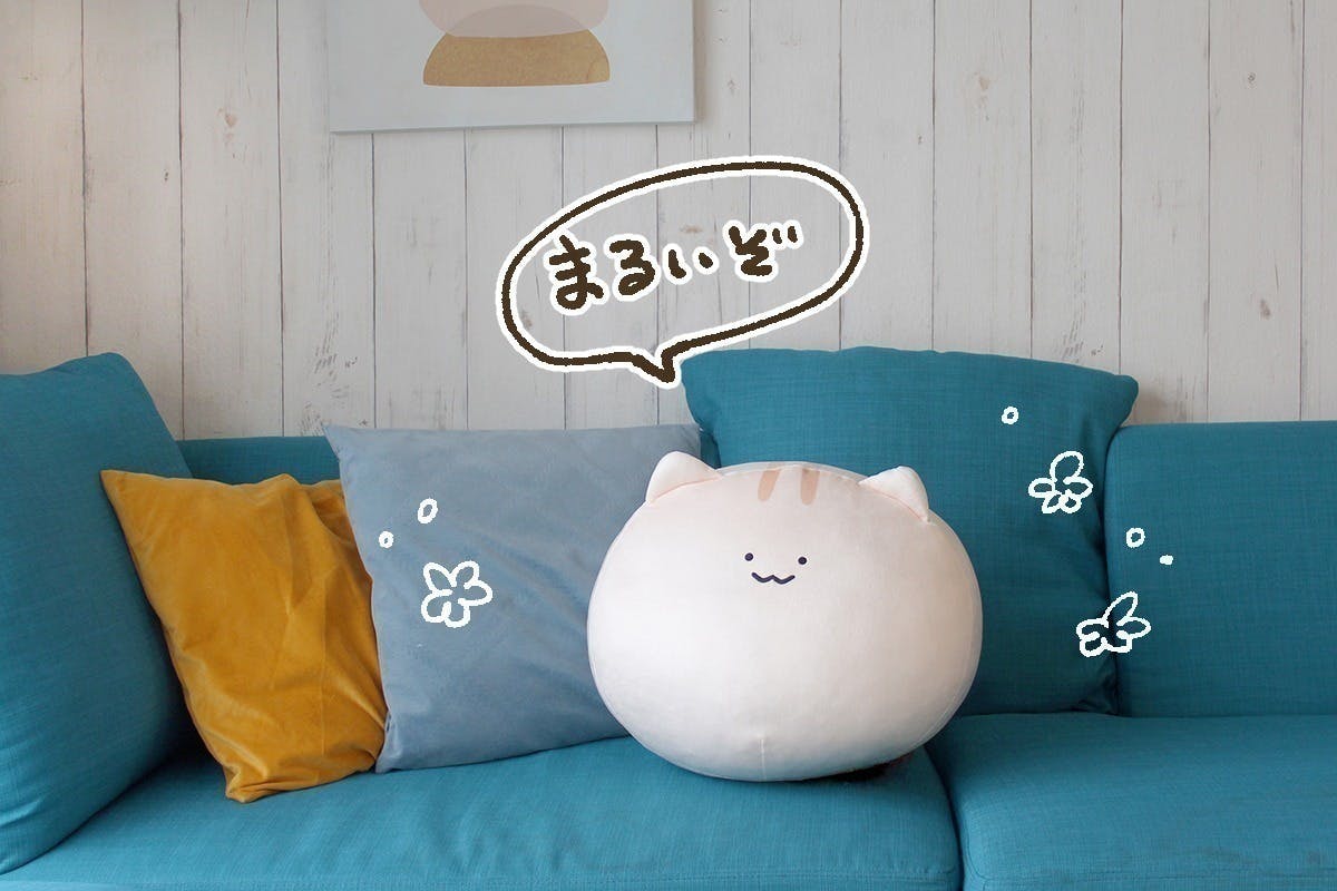 CXV様限定にわねこ もちもちBIGぬいぐるみ5個セット もちねこ にわ