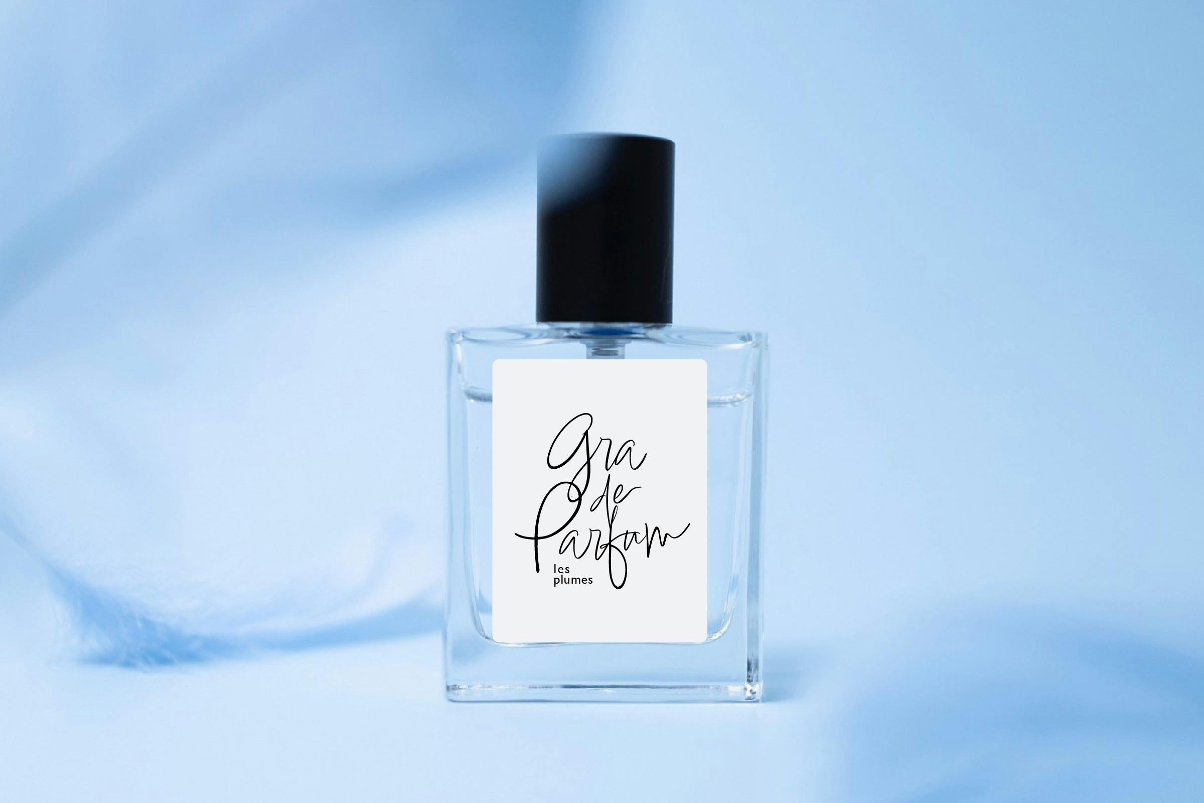 FORMENT COTTON 50ml ユニセックス香水 ジョングク ボムギュ Signature Perfume Cotton Hugコットンハグ FORMENT ユニセックス 香水