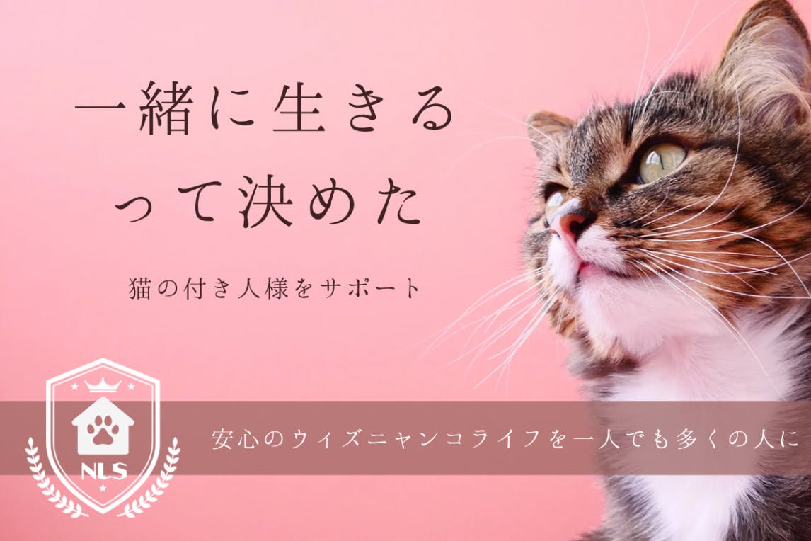 猫と生きやすい日本をつくる！猫飼いさんをサポートするシステムを浸透させたい！