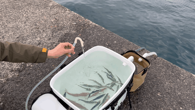 海のお魚に利用！！ポンプまとめ売り 釣り人必見！！『釣果』と『鮮度』をもたらす。あなたの手元に海を再現
