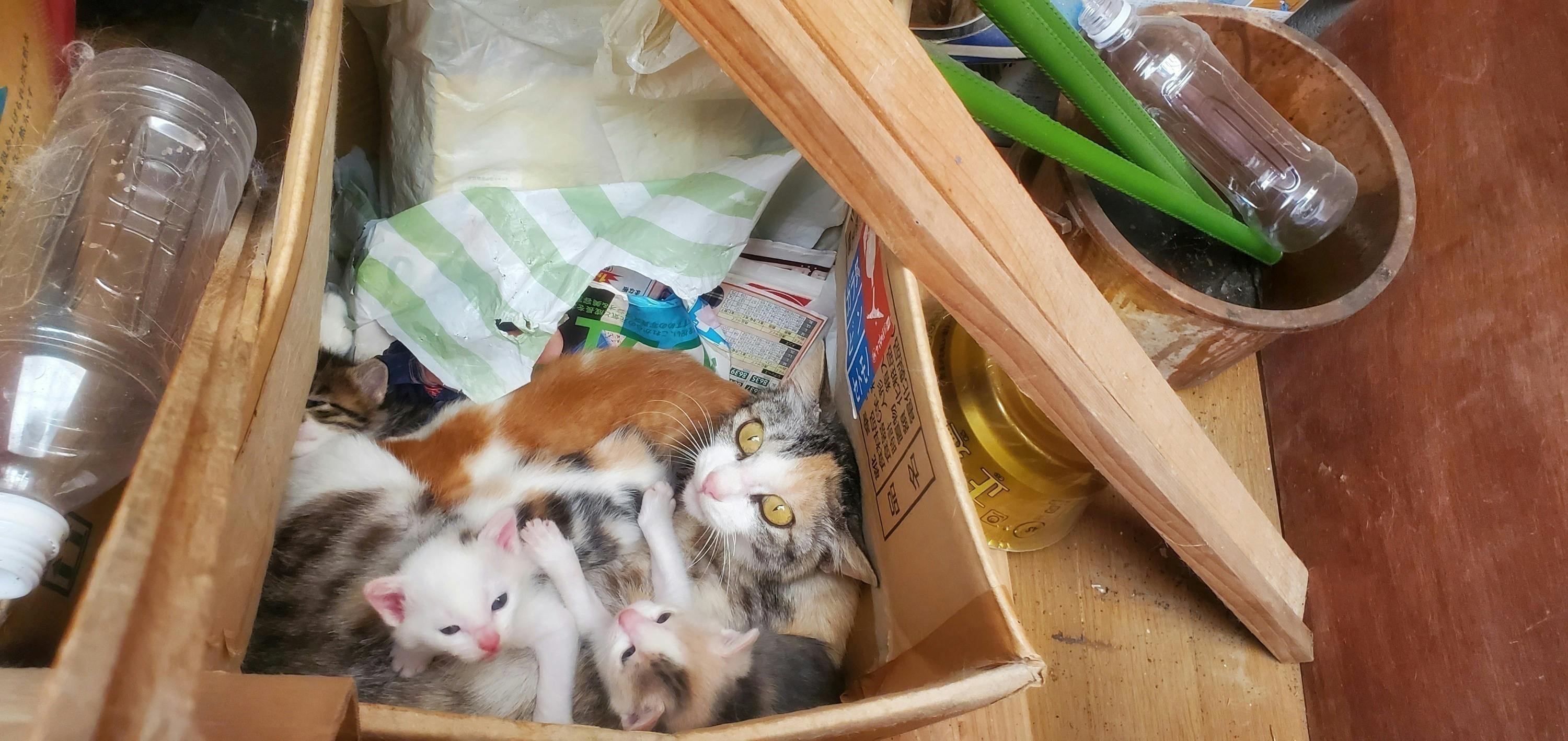 3番目のメイン画像