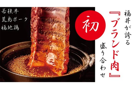 (キャンプファイヤー)　今回のみの限定商品。美味しい物が多い日本一!!『福井のブランド肉』お届けします。　CAMPFIRE