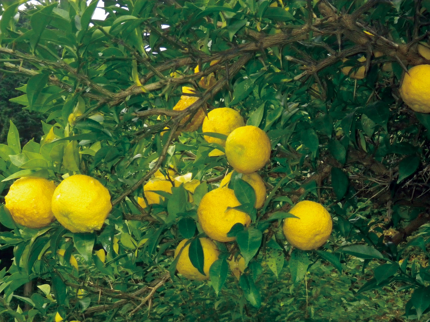 4番目のメイン画像