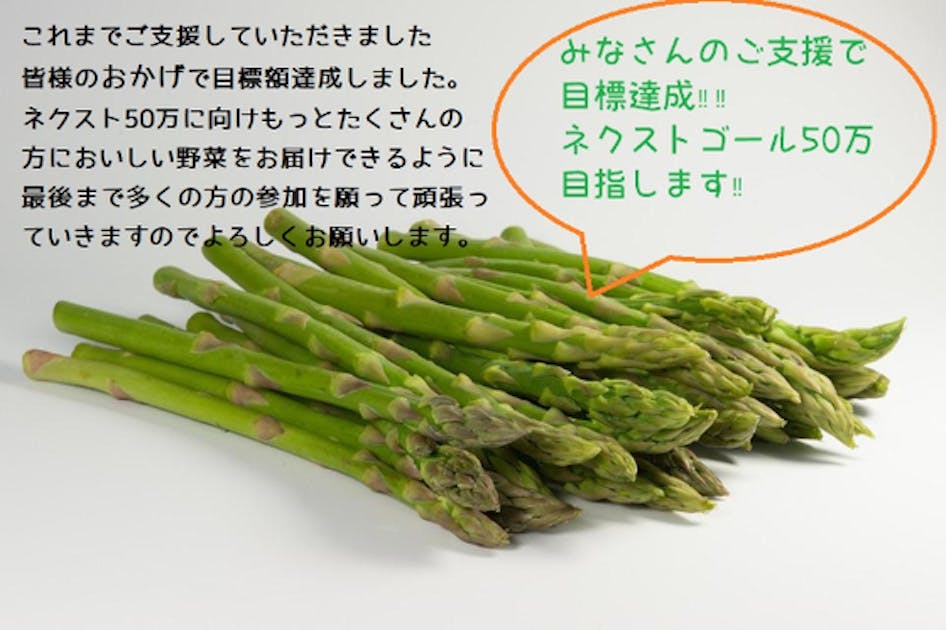 去年大好評の北海道産アスパラ・野菜を採れたその日に発送します