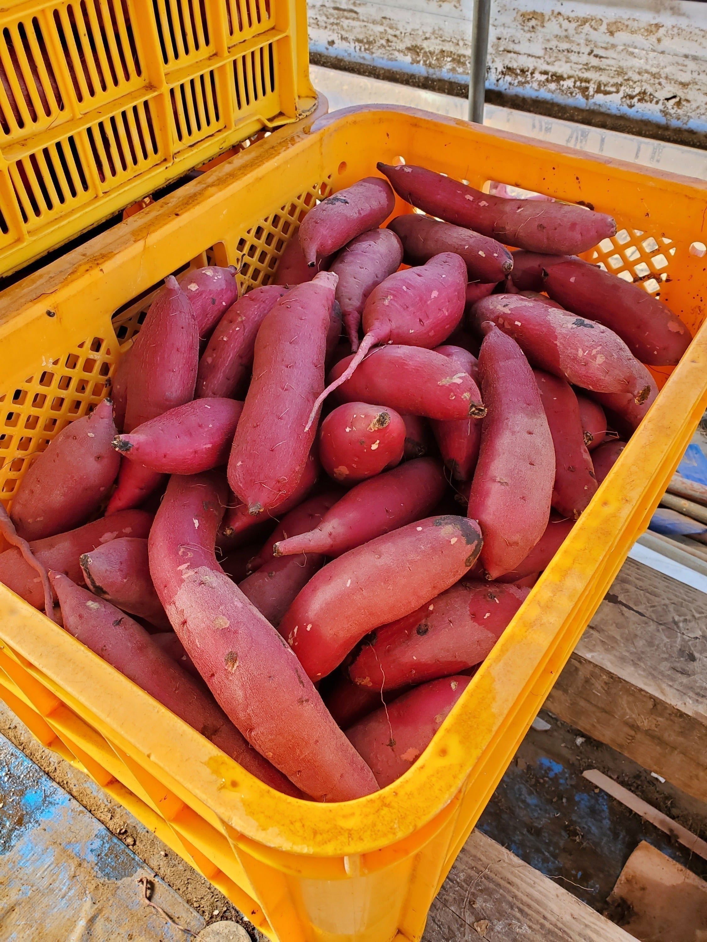 2番目のメイン画像