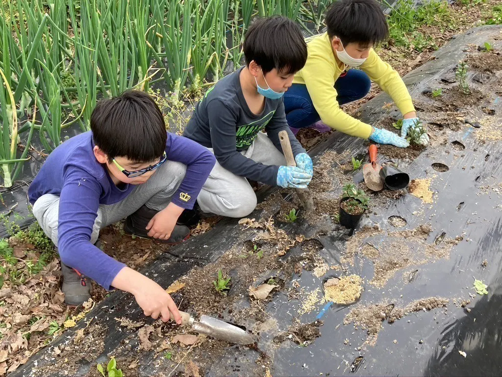 3番目のメイン画像