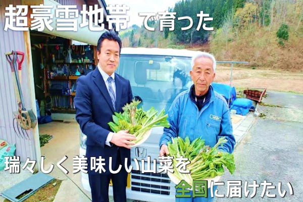 超豪雪地帯！ 山内で育った瑞々しく芯まで柔らかい天然山菜を、全国に