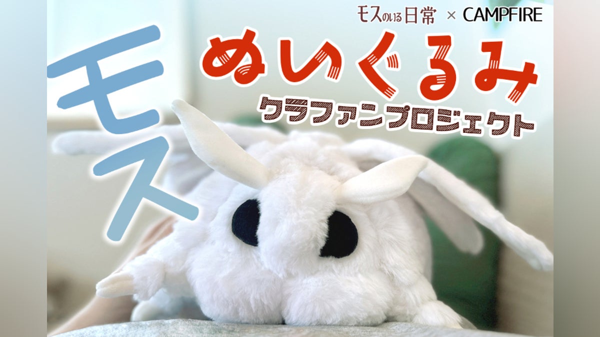 モスのいる日常』ぬいぐるみプロジェクト - CAMPFIRE (キャンプファイヤー) モスのいる日常』ぬいぐるみプロジェクト - CAMPFIRE (キャンプファイヤー)