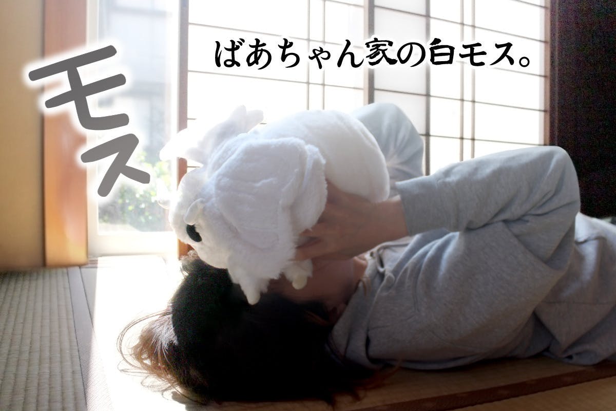 モスのいる日常』ぬいぐるみプロジェクト - CAMPFIRE (キャンプファイヤー)