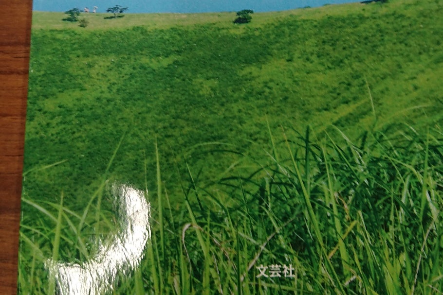 1番目のメイン画像