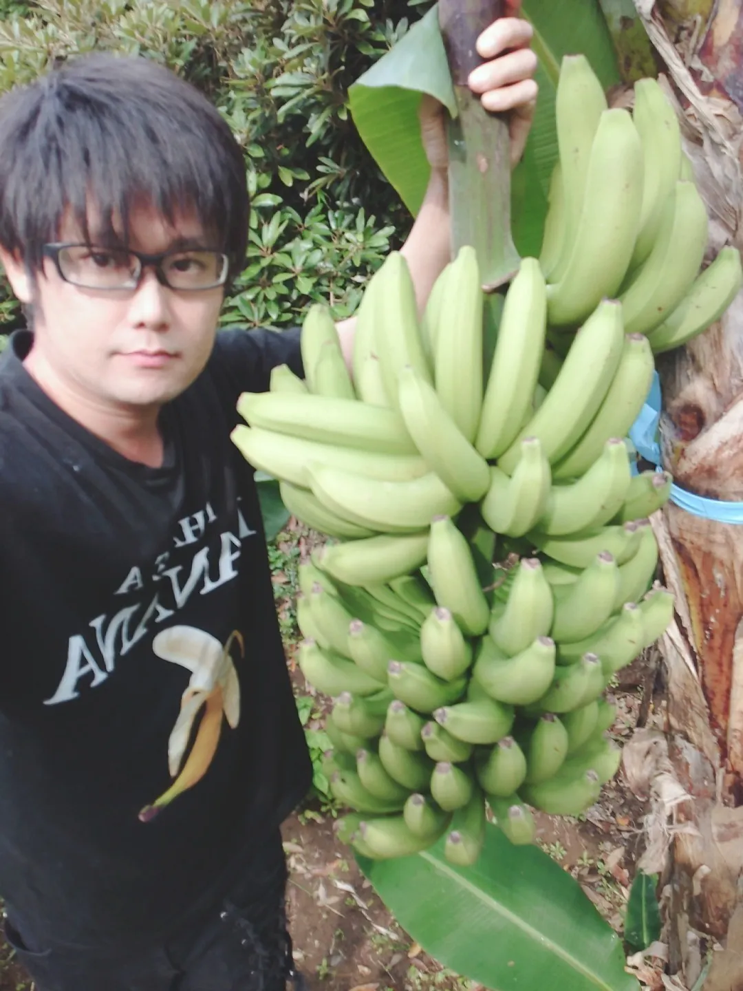 5番目のメイン画像