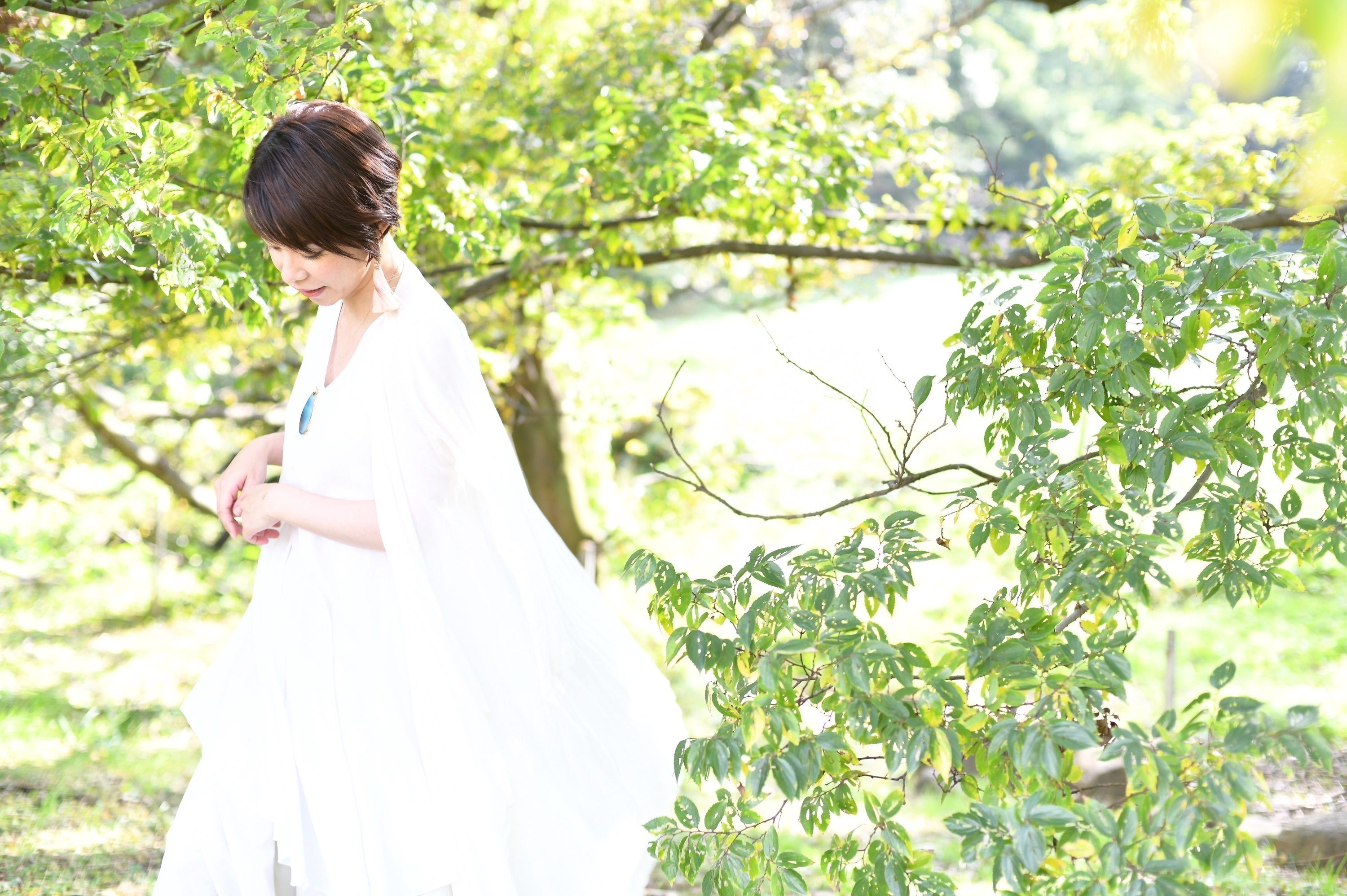 3番目のメイン画像