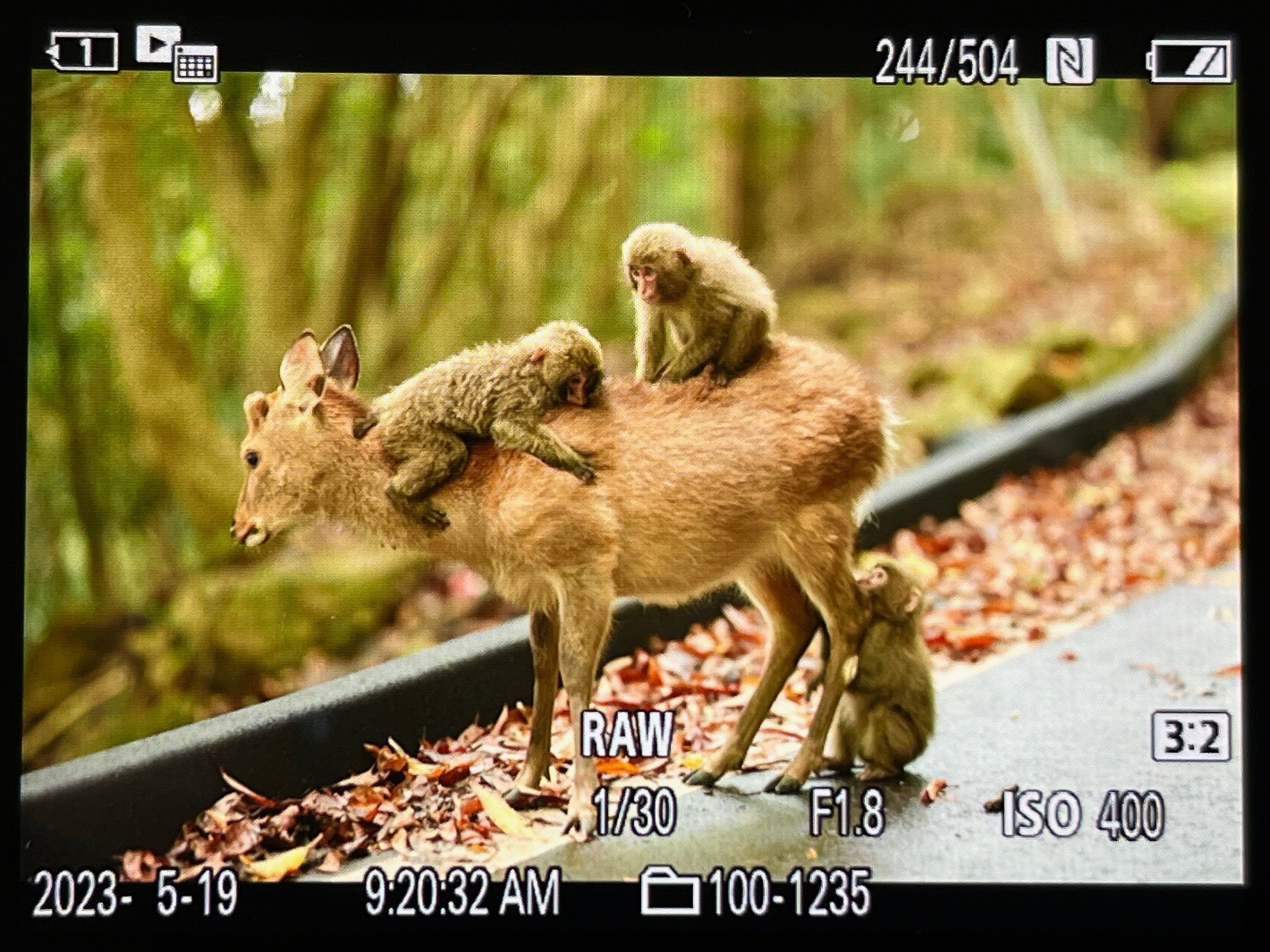 3番目のメイン画像