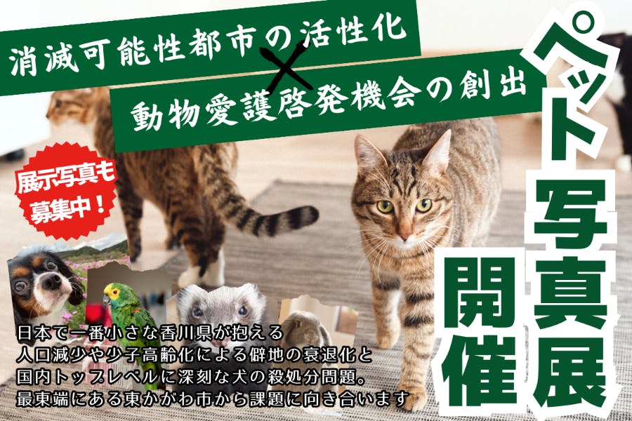 全国で犬猫の殺処分数5815頭減も…前年度に続く全国2位を維持？ 香川県 