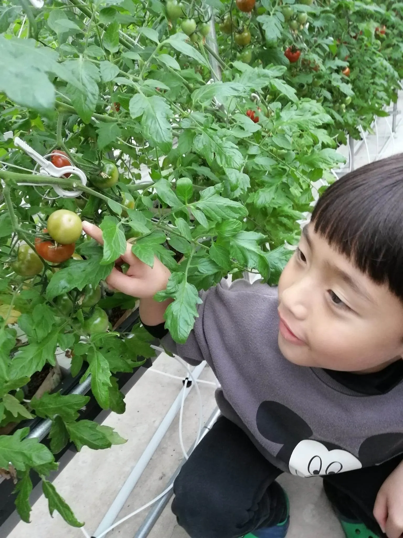 4番目のメイン画像