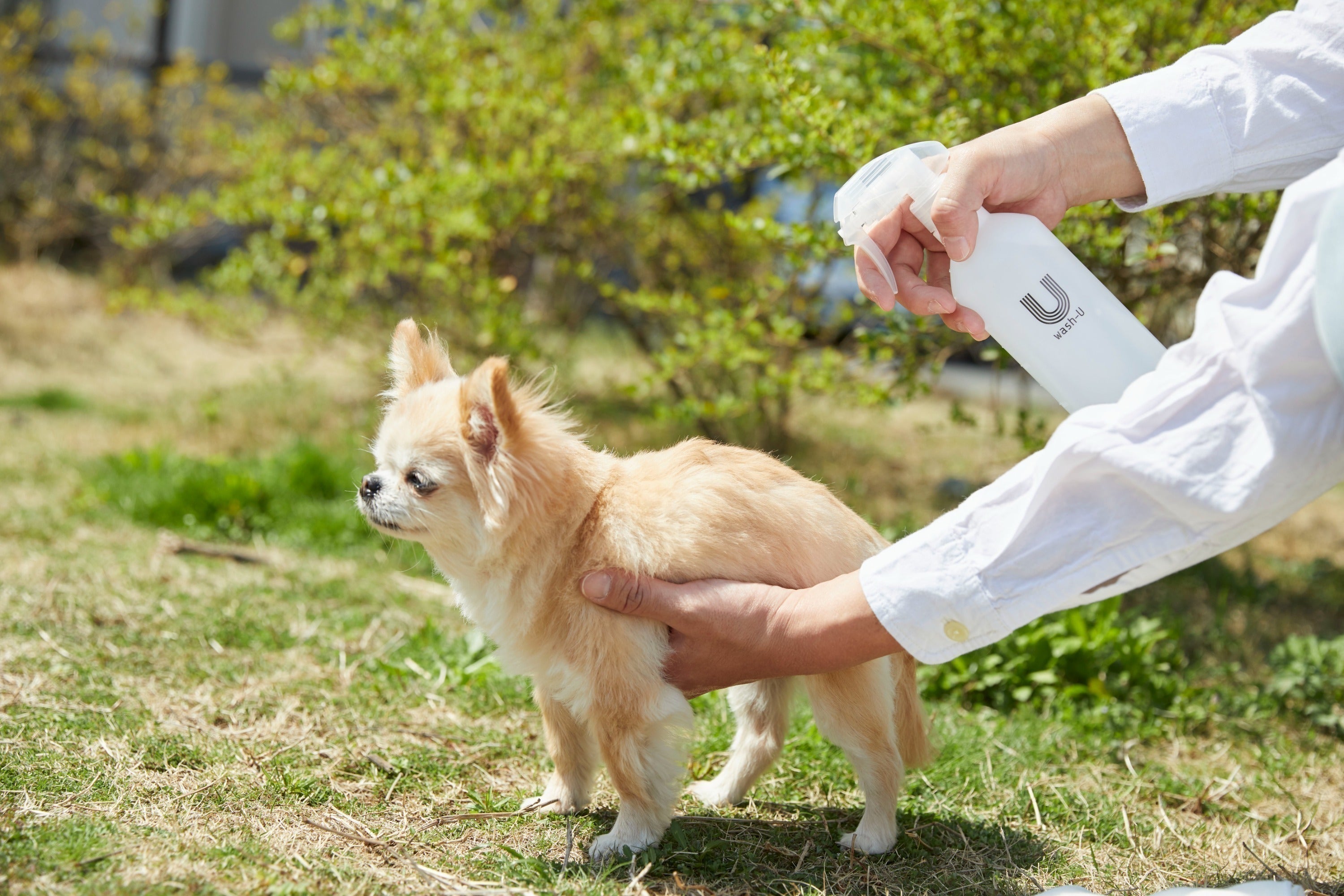 4番目のメイン画像