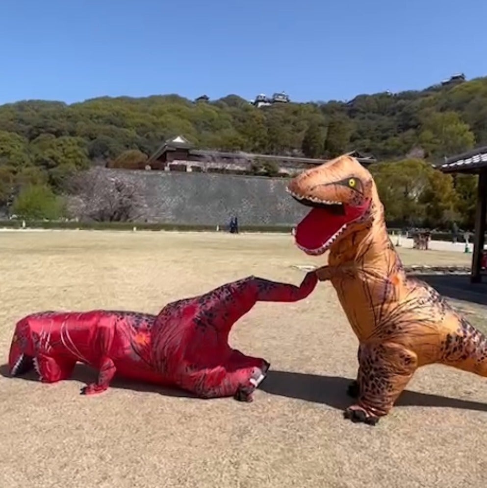 2番目のメイン画像