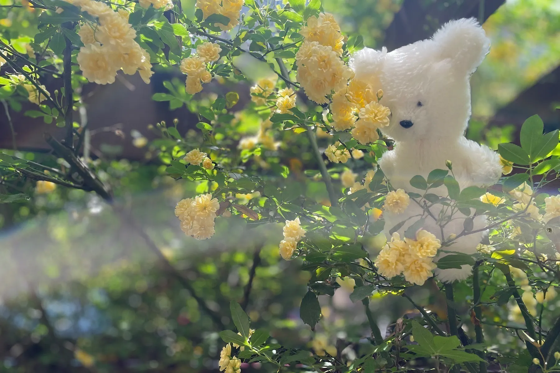 2番目のメイン画像