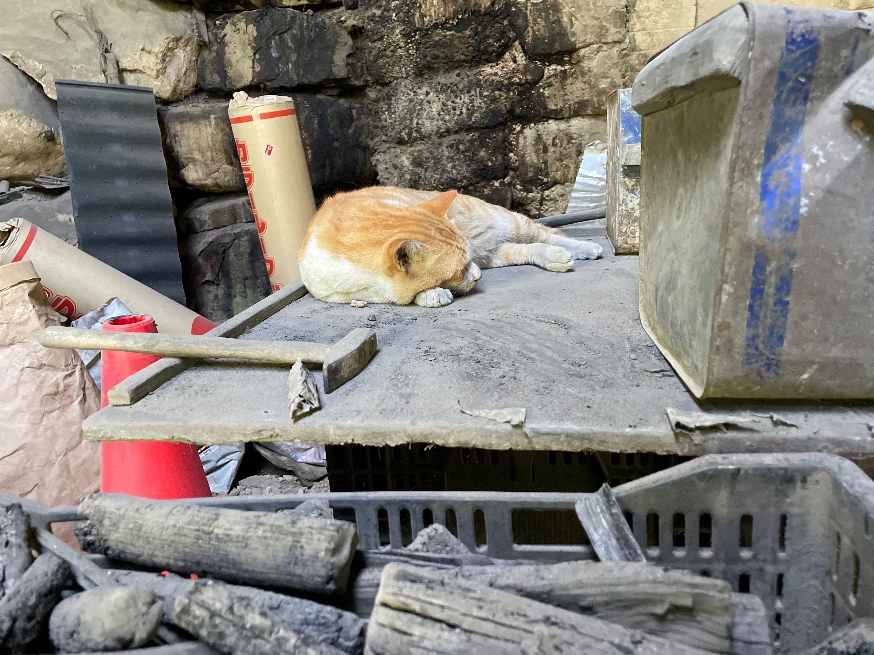 4番目のメイン画像