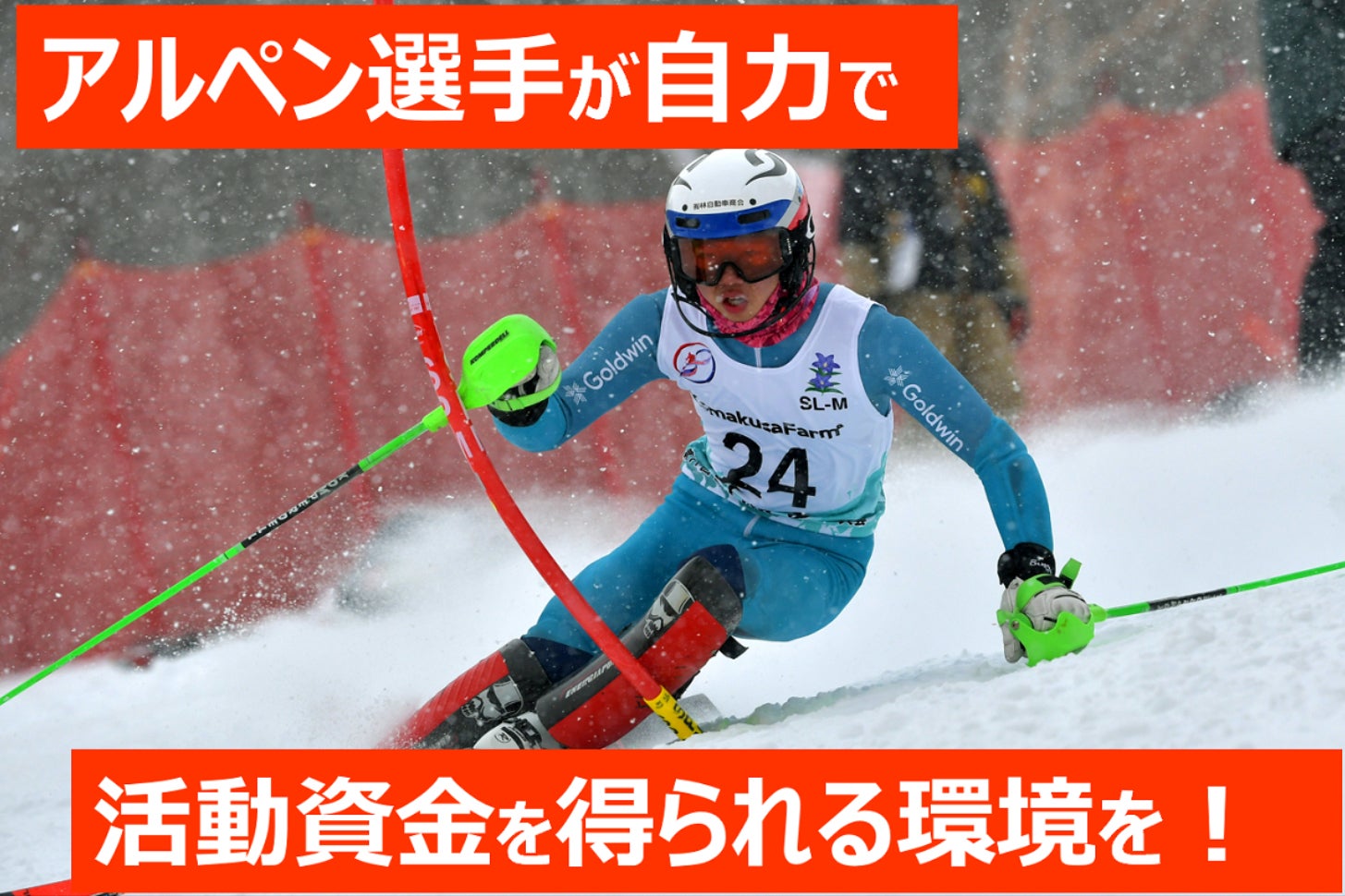 フェニックス Phenix アルペンスキー 競技用 ワンピース Lサイズ