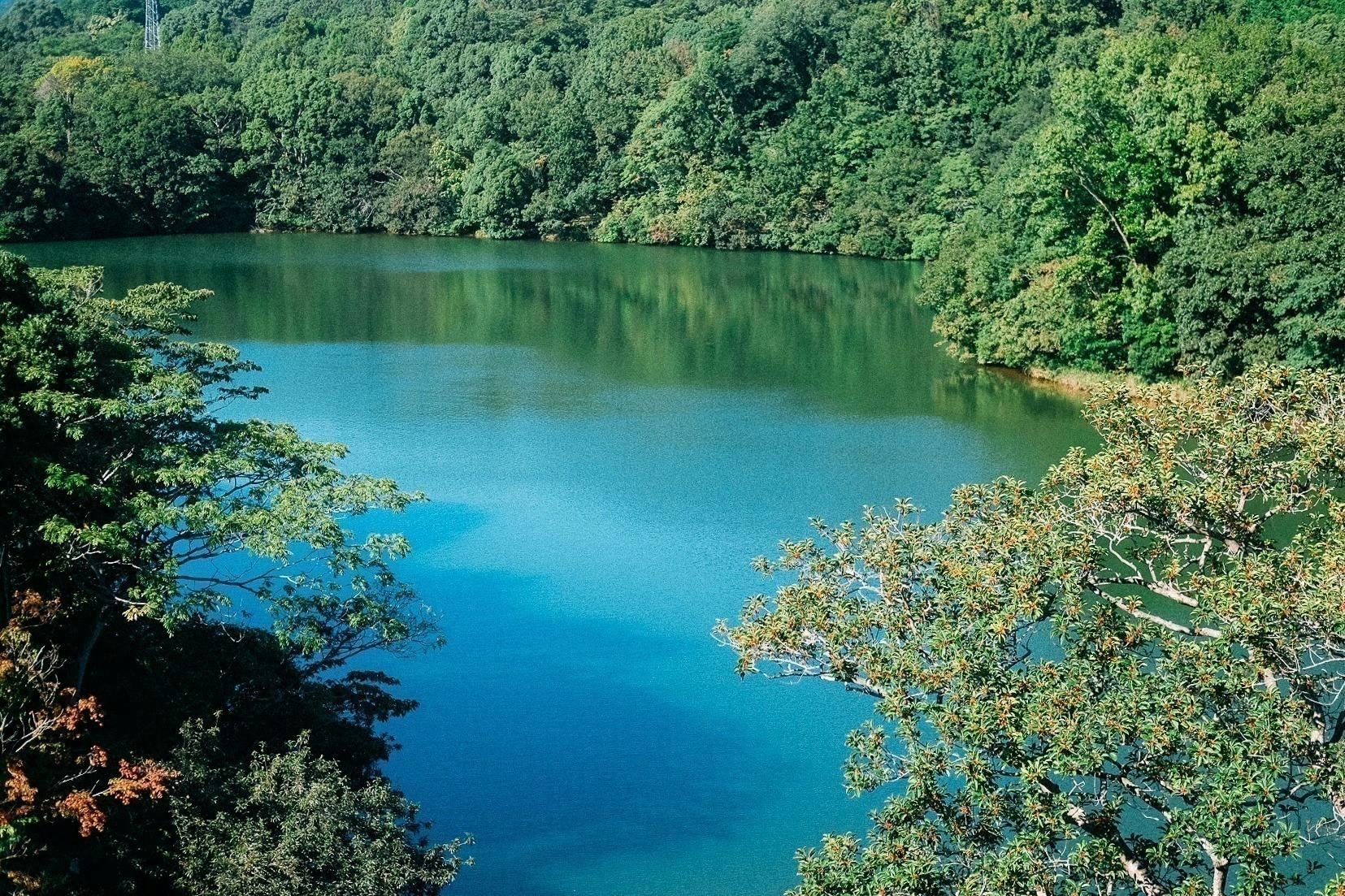 5番目のメイン画像