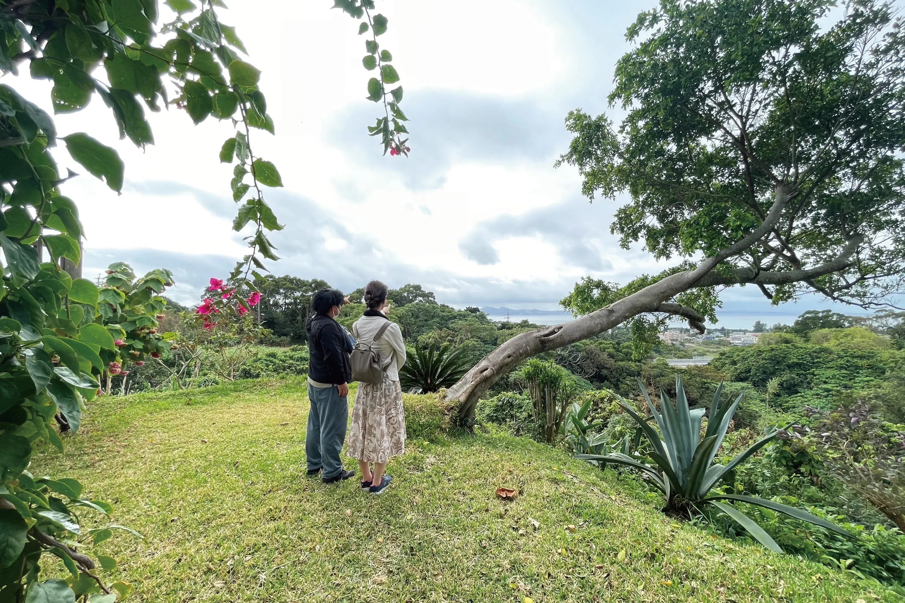 3番目のメイン画像