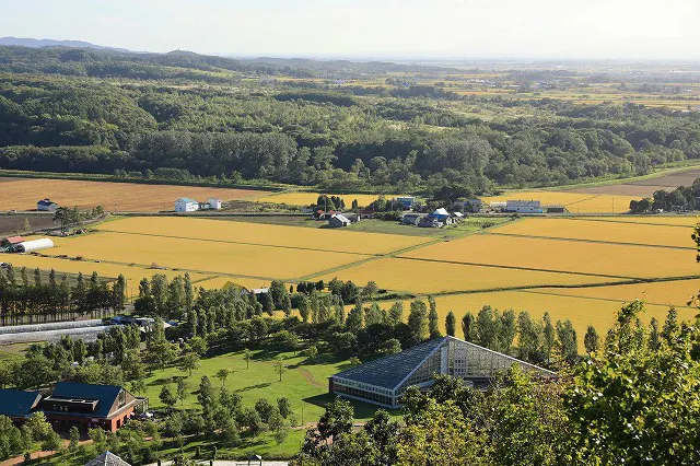 5番目のメイン画像