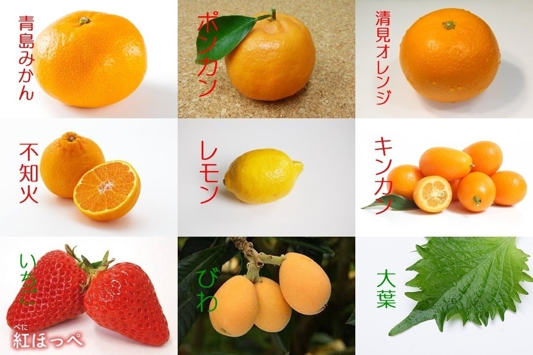 3番目のメイン画像