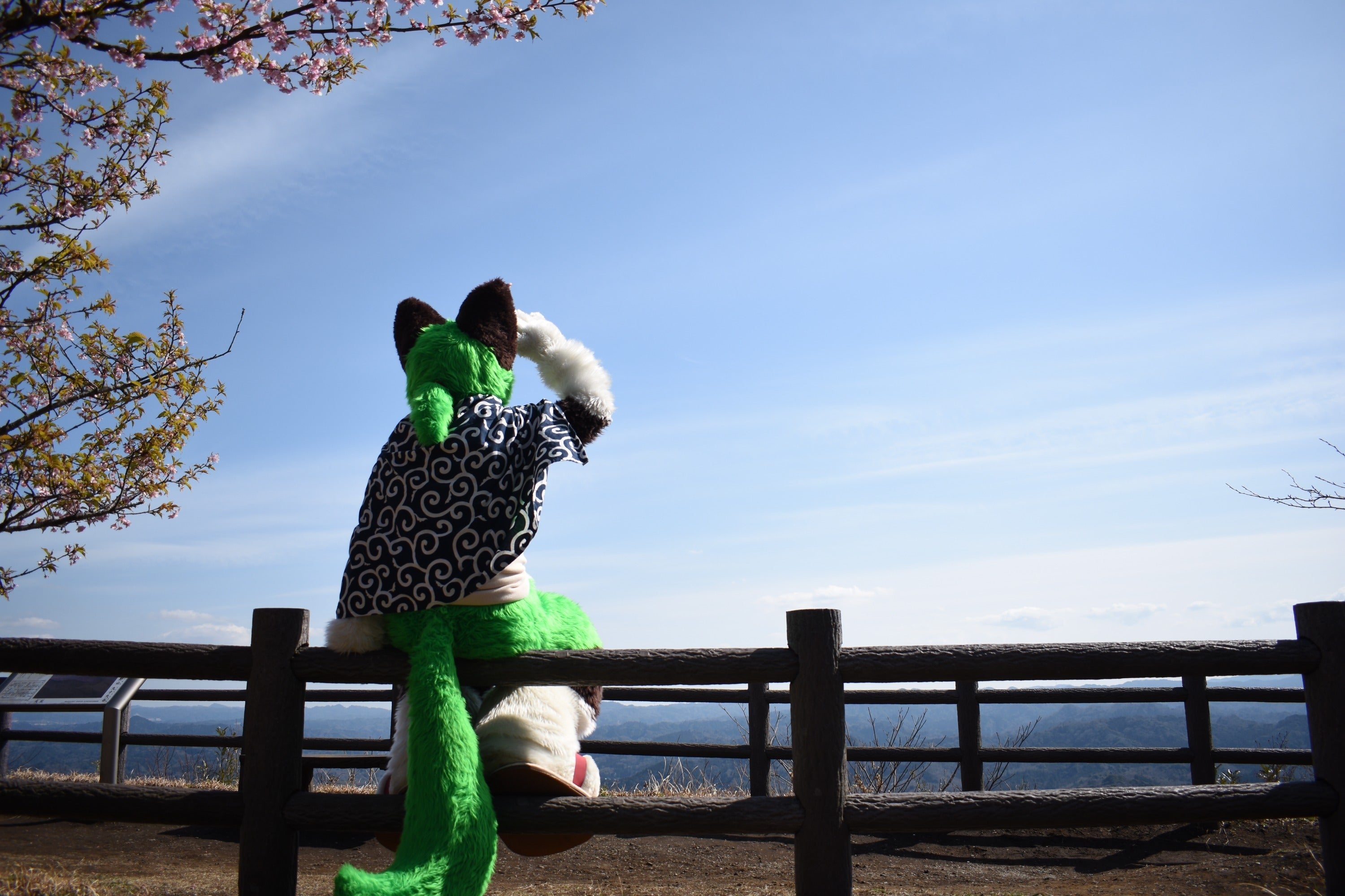 5番目のメイン画像