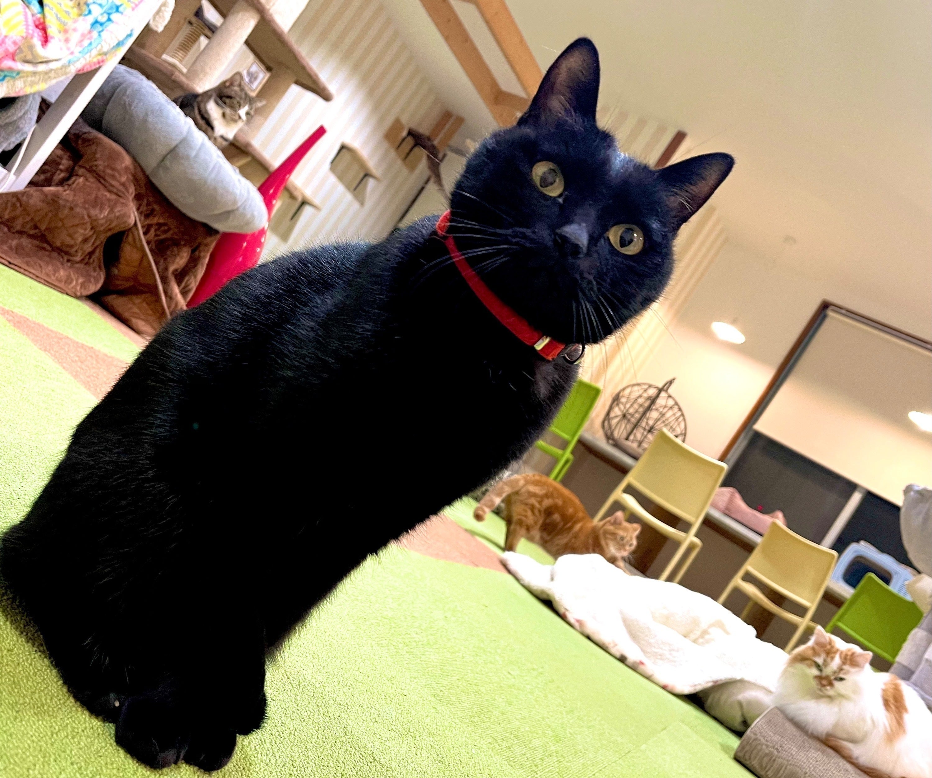 2番目のメイン画像