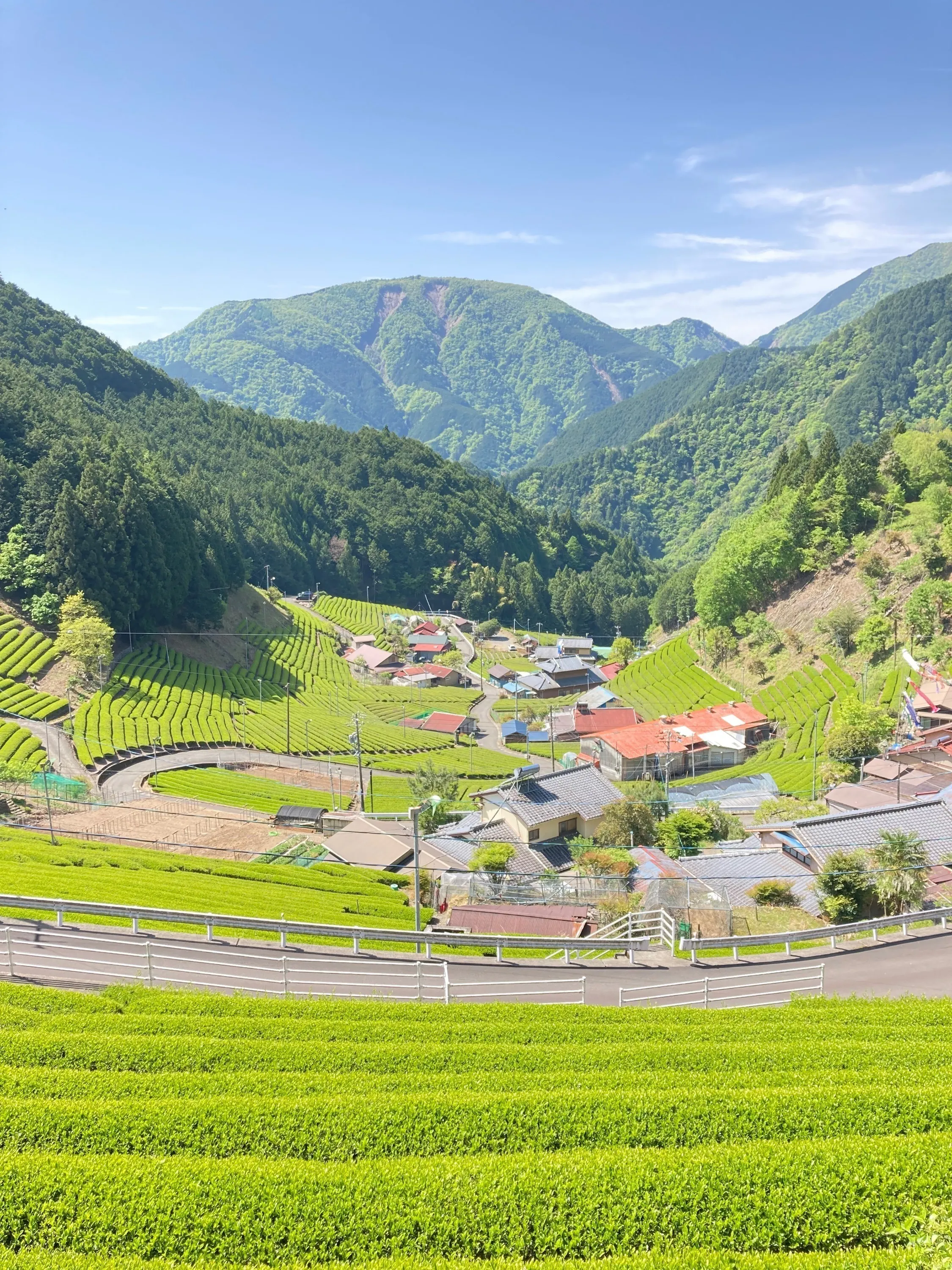 4番目のメイン画像