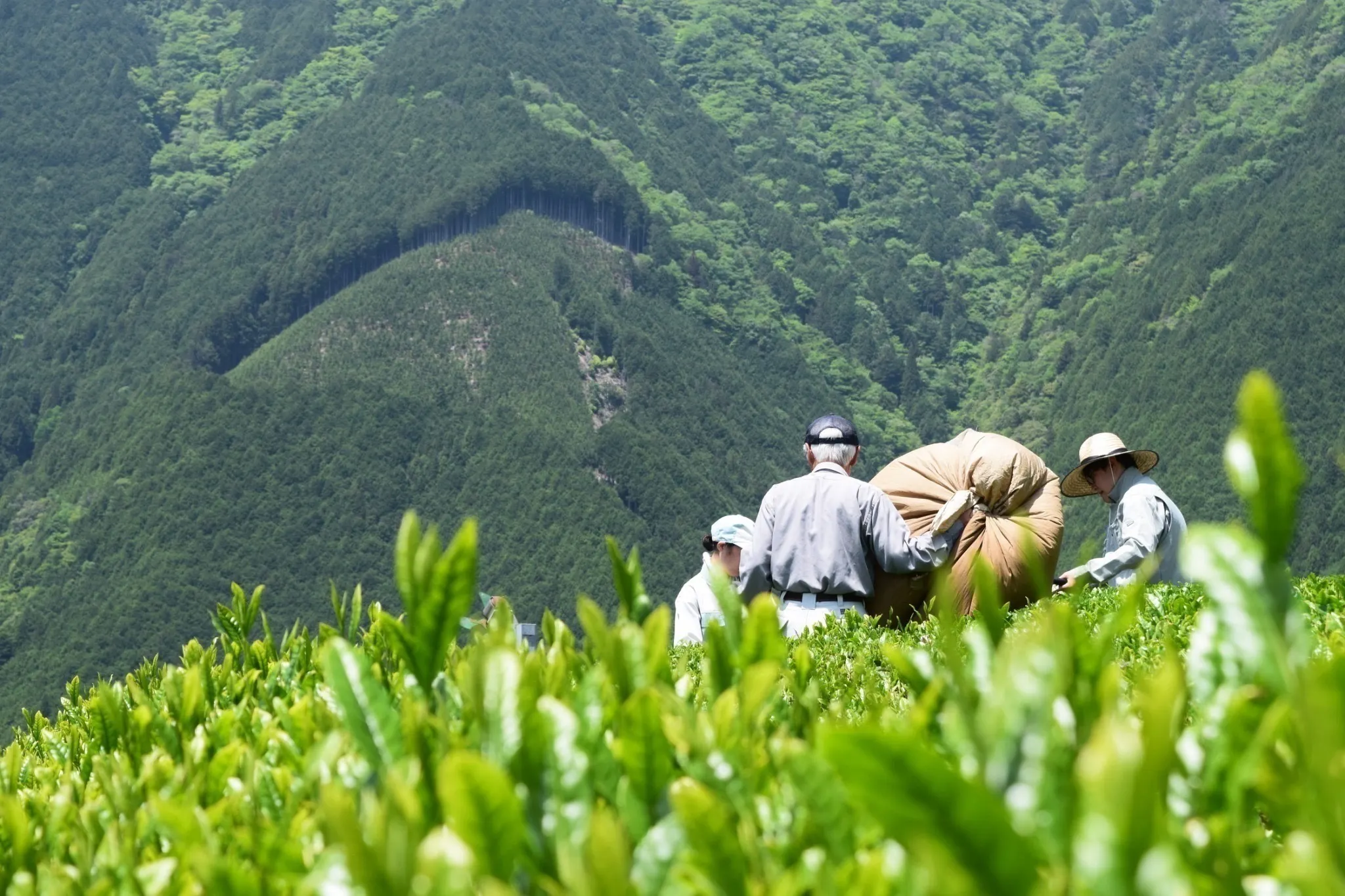 3番目のメイン画像